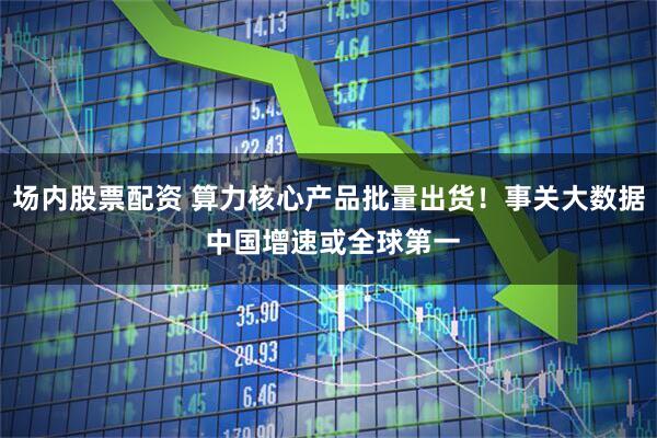 场内股票配资 算力核心产品批量出货！事关大数据 中国增速或全球第一